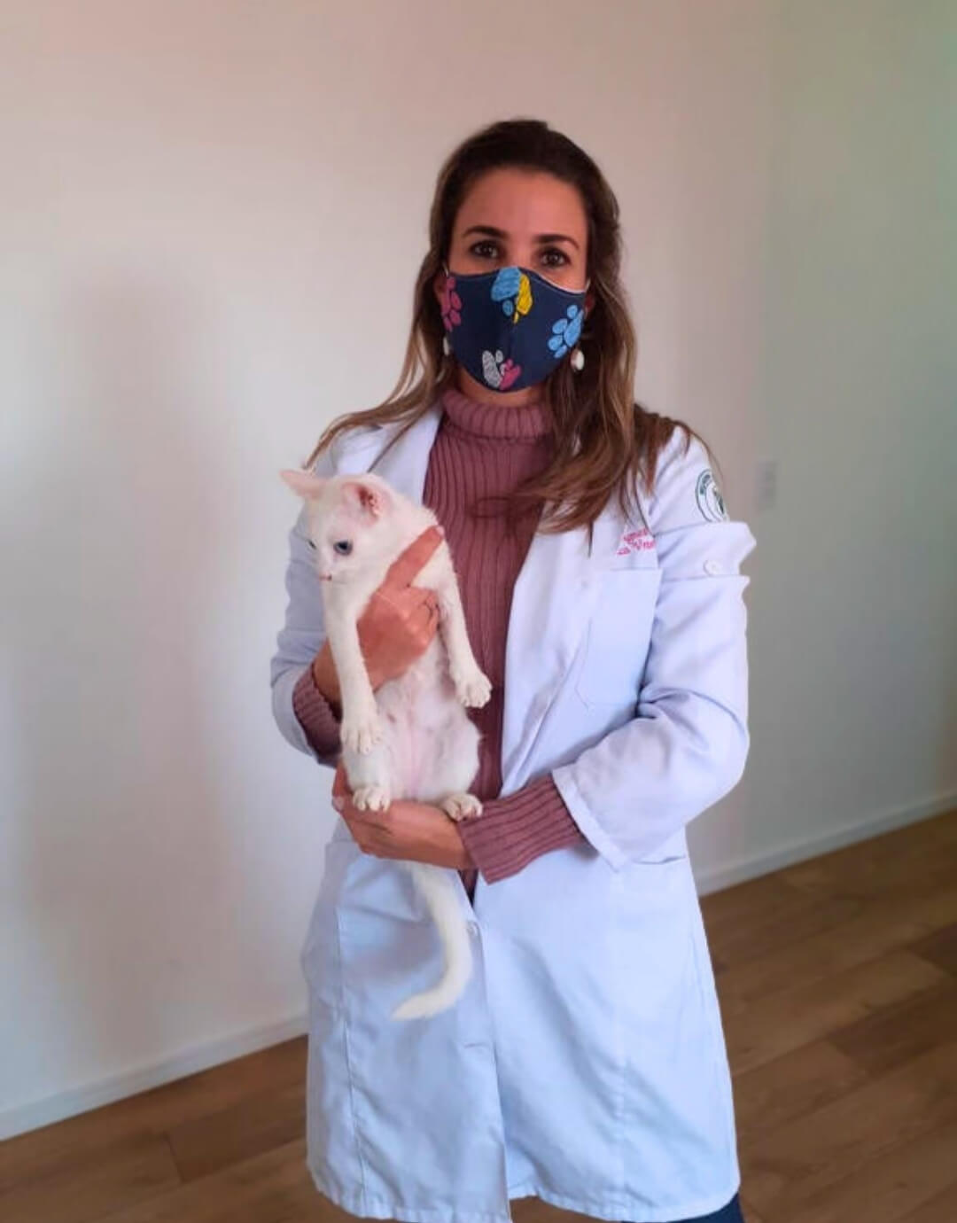 Gato sendo cuidado em casa com tranquilidade